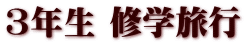 3年生 修学旅行